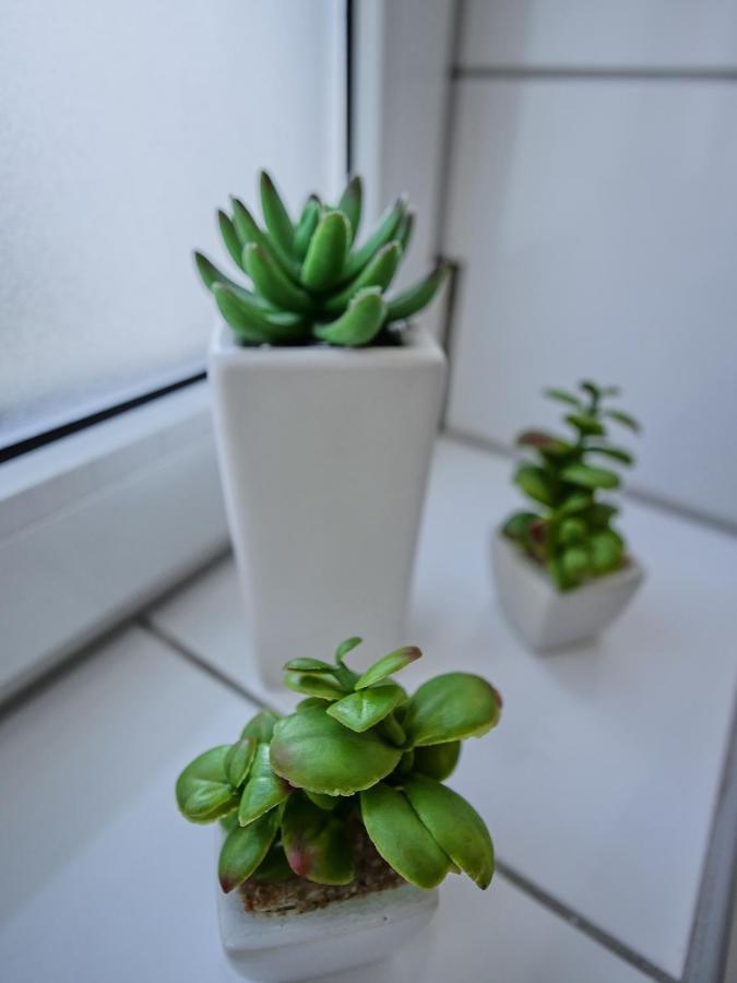 Appartement Hbf - Erfurt Bahnhof Luaran gambar